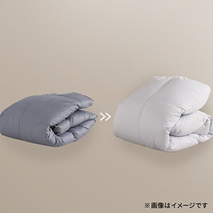 ウェッジウッド タオルケット 2枚組 2枚組（シングル）140×190cm