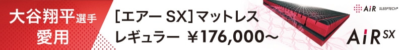 AIR SX バナー