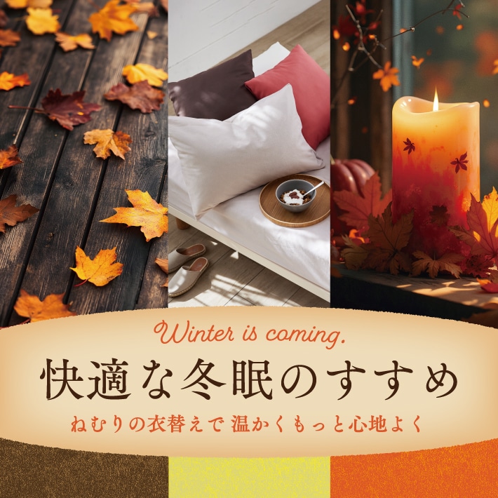 快適な冬眠のすすめ