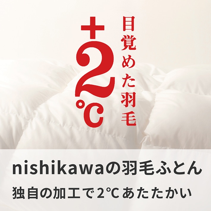 目覚めた羽毛「+2℃」